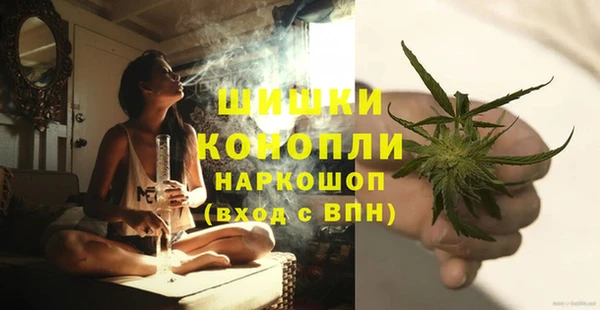 apvp Осинники