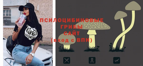 МДПВ Остров