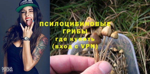 МДПВ Остров