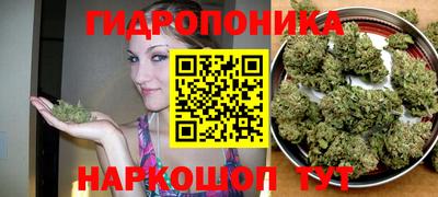 прущие грибы Гусь-Хрустальный