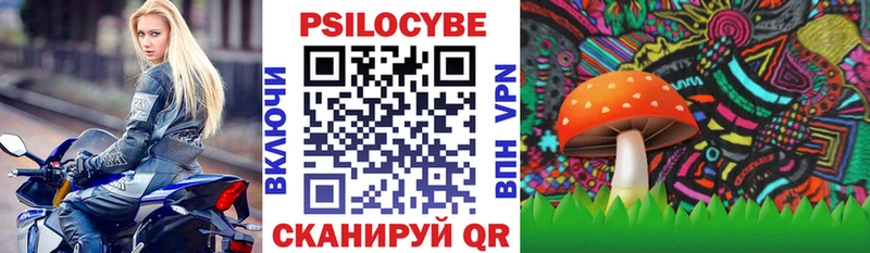 где купить   Шуя  Галлюциногенные грибы мицелий 