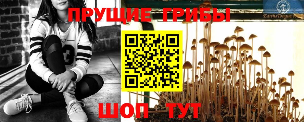 Шуя  Псилоцибиновые грибы мухоморы  как найти закладки  Вход с VPN 